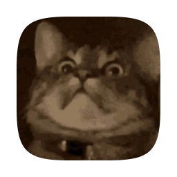 About the Developer app